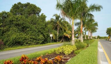 City of Cape Coral Median Beautification Program