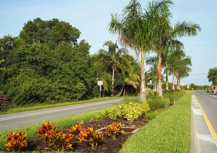 City of Cape Coral Median Beautification Program