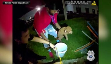 Officers use cheese to save dog trapped in Florida drain