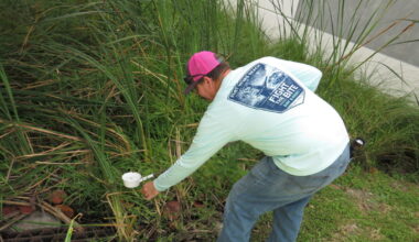 Fort Myers Beach Mosquito Control District under threat from state’s merger bill - FORT MYERS