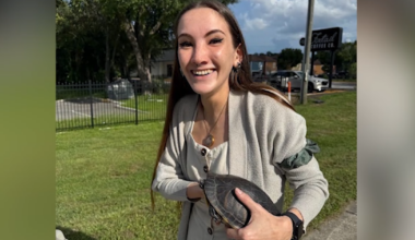 Woman pulled over on Colonial Drive loses leg after being struck by hit-and-run driver