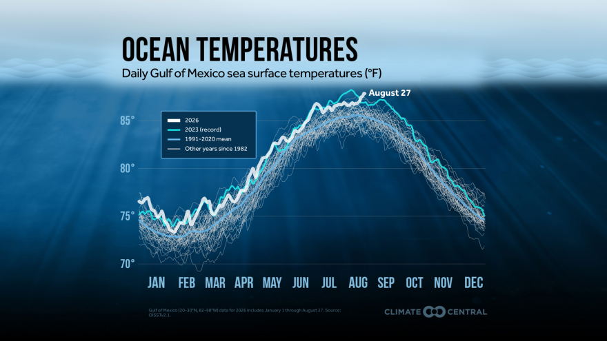 A blue hued line graph showing Gulf of Mexico ocean temperatures rose above a 2023 record on August 27, 2026. 