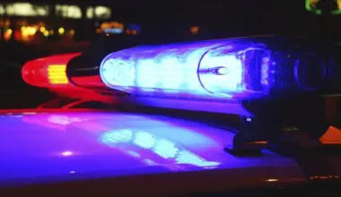 Central Florida woman dead after alligator sets off chain-reaction crash on I-95 – Orlando Sentinel