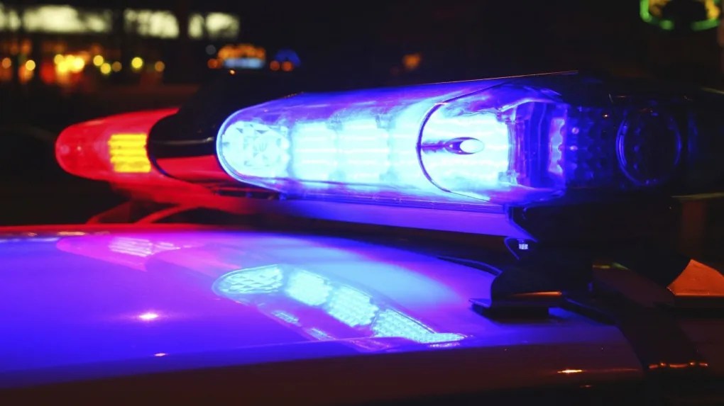 Central Florida woman dead after alligator sets off chain-reaction crash on I-95 – Orlando Sentinel
