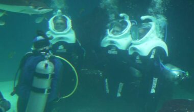 Florida Aquarium partnership offers teens underwater adventure