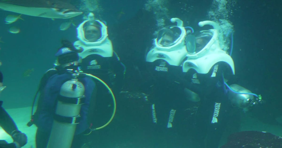 Florida Aquarium partnership offers teens underwater adventure