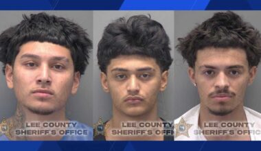 Cape Coral teens accused of stealing from business, assaulting employees