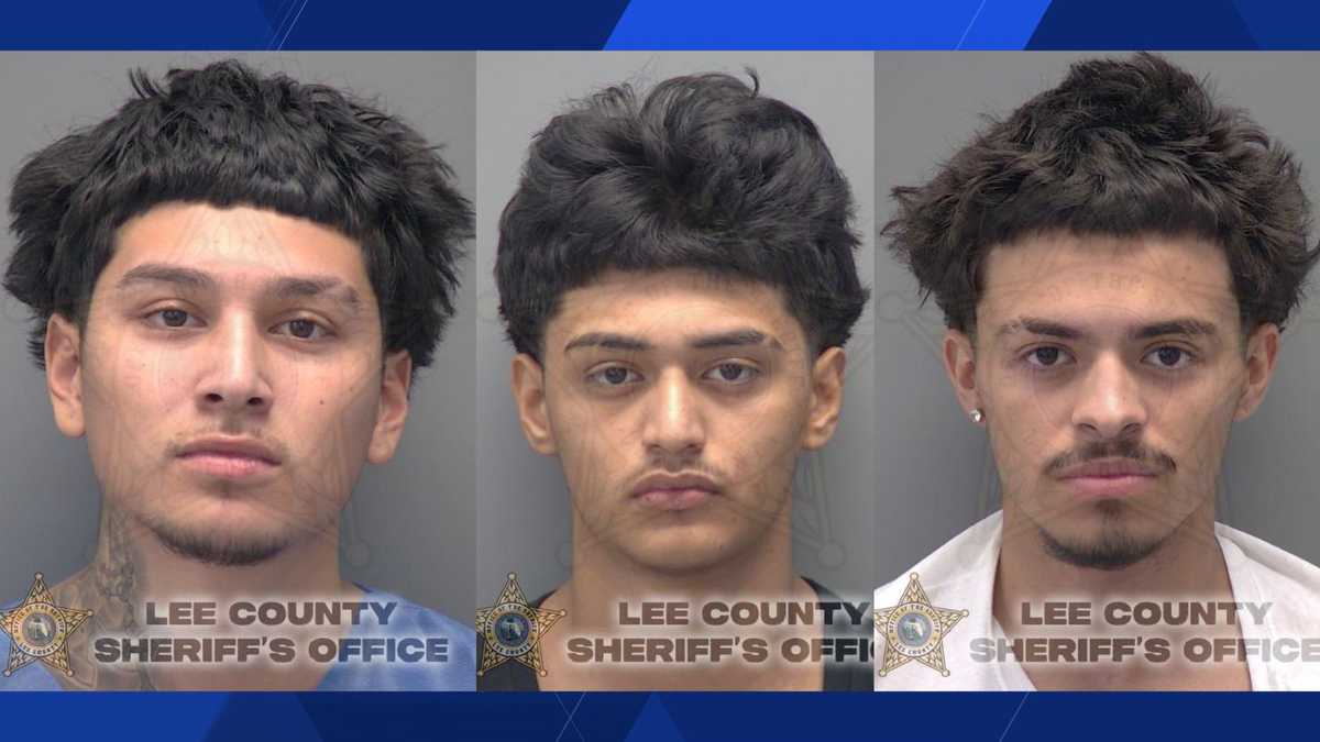 Cape Coral teens accused of stealing from business, assaulting employees