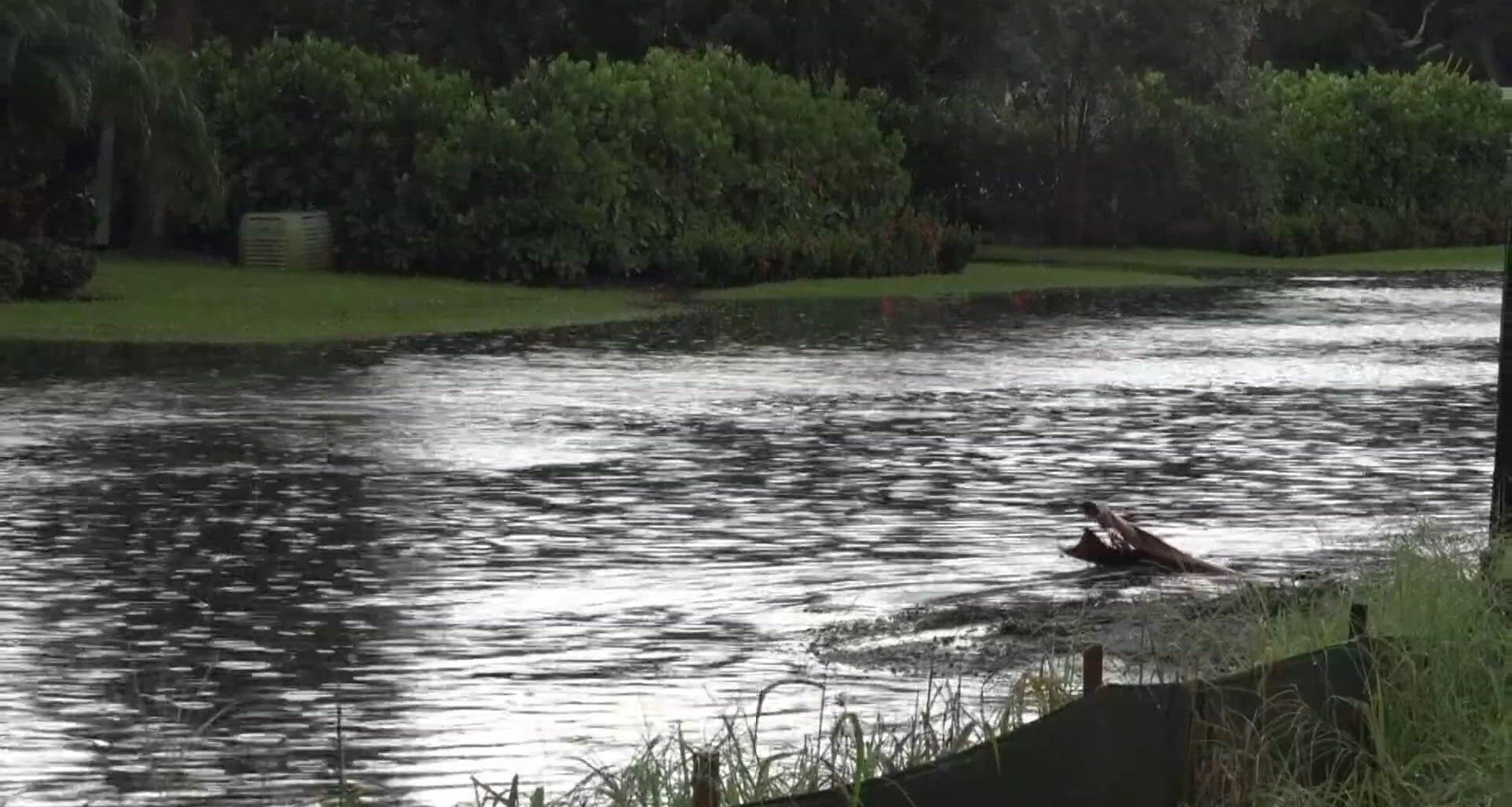 Why today’s rain isn’t enough to end Tampa Bay’s drought