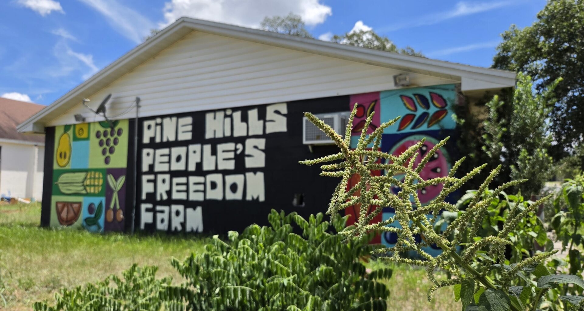 People’s Freedom Farm turns 3