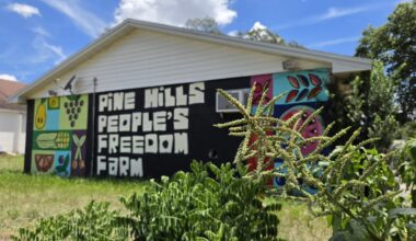 People’s Freedom Farm turns 3