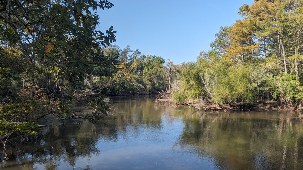 A body of water surrounded by forest under a blue sky