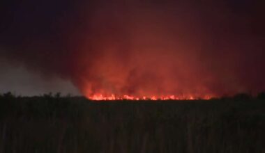 Grass fire in SW Miami-Dade burns over 750 acres, is 0% contained; no structures threatened - WSVN 7News | Miami News, Weather, Sports