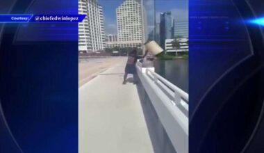 Man caught on video dumping trash into Biscayne Bay faces environmental felony charge - WSVN 7News | Miami News, Weather, Sports