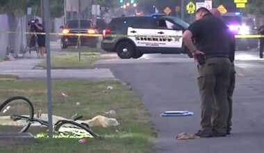Deputies search for driver behind fatal hit-and-run crash in Pompano Beach - WSVN 7News | Miami News, Weather, Sports