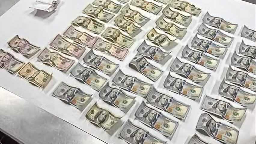 'Everything that she had': Miami woman arrested in Martin County for posing as bank representative
