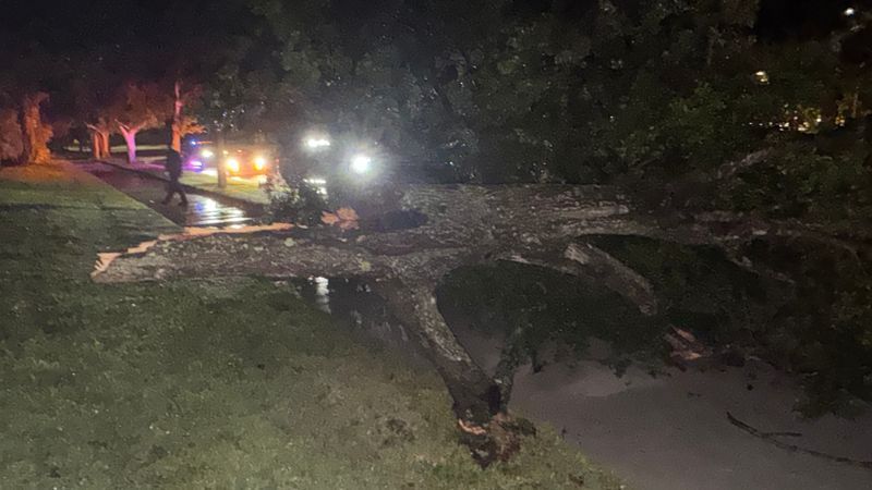 Crews from the National Weather Service office in Melbourne are expected to survey damage across parts of the Treasure Coast Monday morning after severe storms. (WPEC)