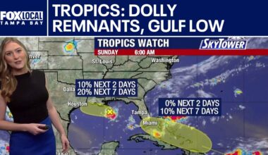Dolly remnants, Gulf low being monitored