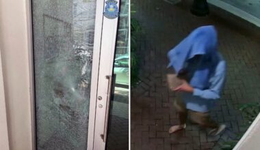 Florida man arrested for throwing a brick through window of Sarasota synagogue