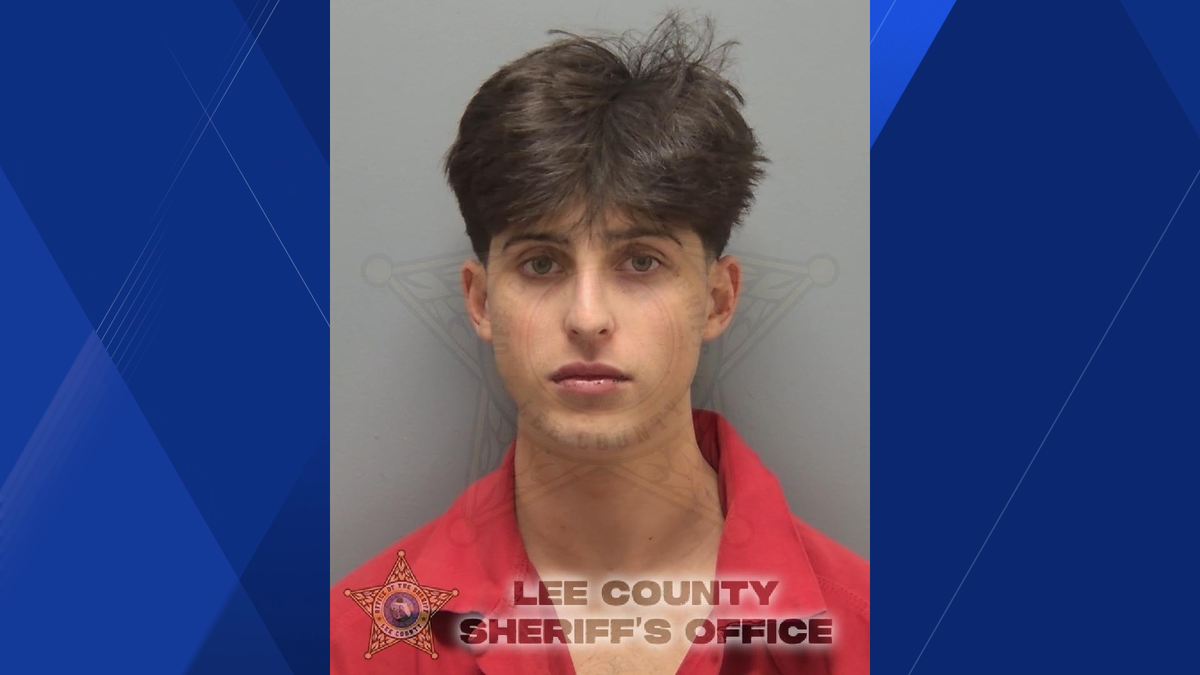 Lee County man accused of DUI, fleeing after crash into mailbox
