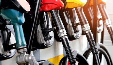 Florida gas prices stable, but elevated, AAA says