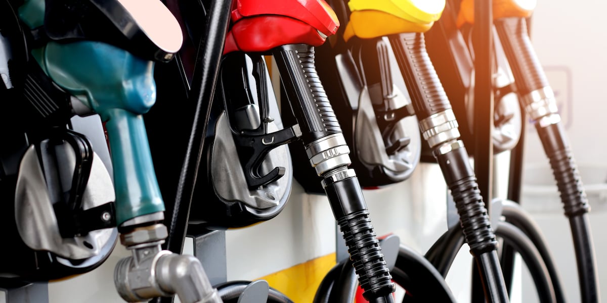 Florida gas prices stable, but elevated, AAA says