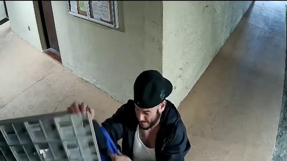 Video captures man stealing mail at apartment complex in West Miami-Dade – NBC 6 South Florida