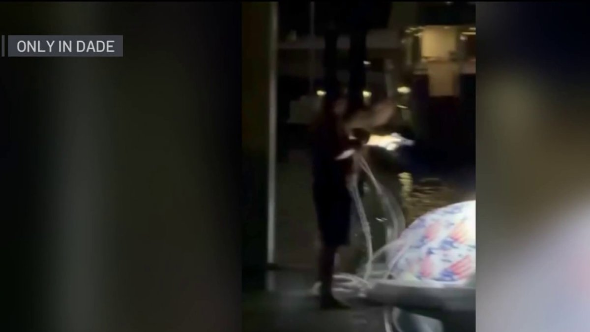 Video shows tense confrontation at South Florida marina after man points gun at boat driver – NBC 6 South Florida