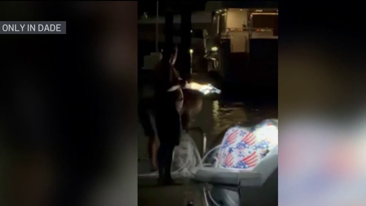 Video shows man pulling out gun in confrontation at Fort Lauderdale marina – NBC 6 South Florida