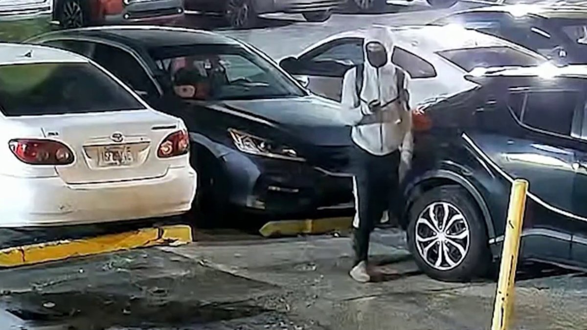 Teen accused of stealing airbags from dozens of cars in Hialeah – NBC 6 South Florida