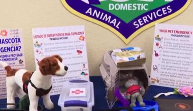 Lee County waives pet adoption fees Saturday for Clear the Shelters