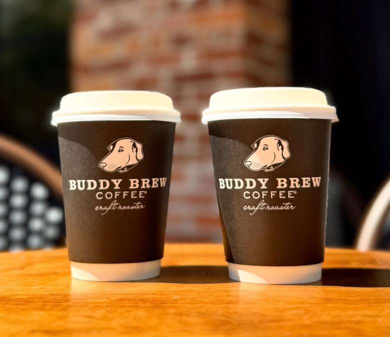 Two to-go paper cups with white lids featuring the Buddy Brew Coffee dog logo sitting side by side on a wooden table.