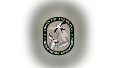 FWC charges Georgia inmate for allegedly selling fraudulent hunting leases to Florida hunters