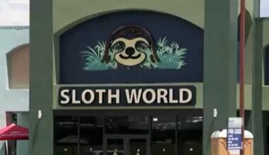 Orange County deputies conclude investigation into Sloth World