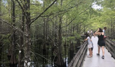 Six Mile Cypress Slough Preserve boardwalk to temporarily close for repairs | Lee County