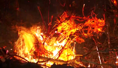 Crews battle 20-acre brush fire off Sabal Palm Drive in North Fort Myers | Lee County