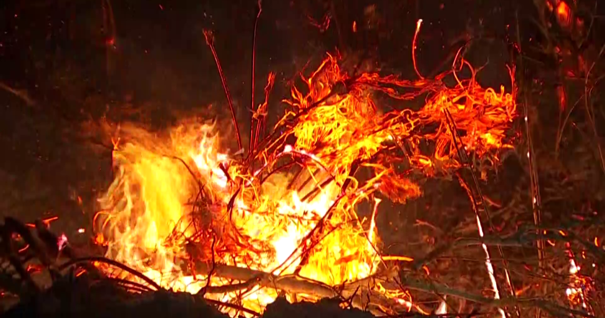 Crews battle 20-acre brush fire off Sabal Palm Drive in North Fort Myers | Lee County