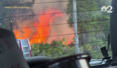 Brush fire mostly contained in Leesburg, Florida Forest Service says