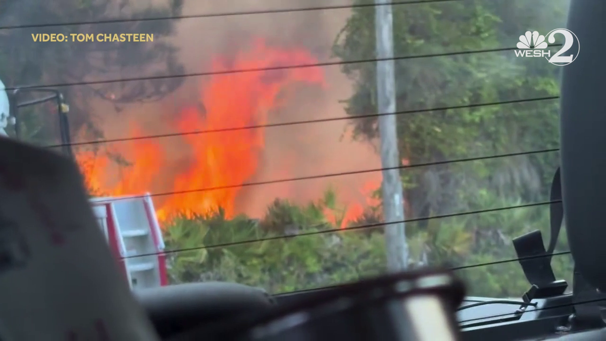 Brush fire mostly contained in Leesburg, Florida Forest Service says