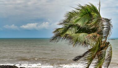 Tropical Storm Cristobal Forms, Heading Away from US