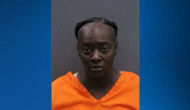 Traffic stop in Tampa leads to multi-drug arrest, woman facing multiple charges