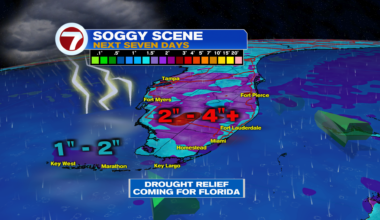 Stormy Sequel For Florida - WSVN 7News | Miami News, Weather, Sports