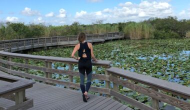 How I'd Spend One Day in Florida, From Woman Who's Been to All 50 States