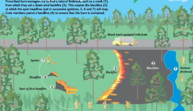 Prescribed burn planned for Savannas Preserve | St. Lucie County