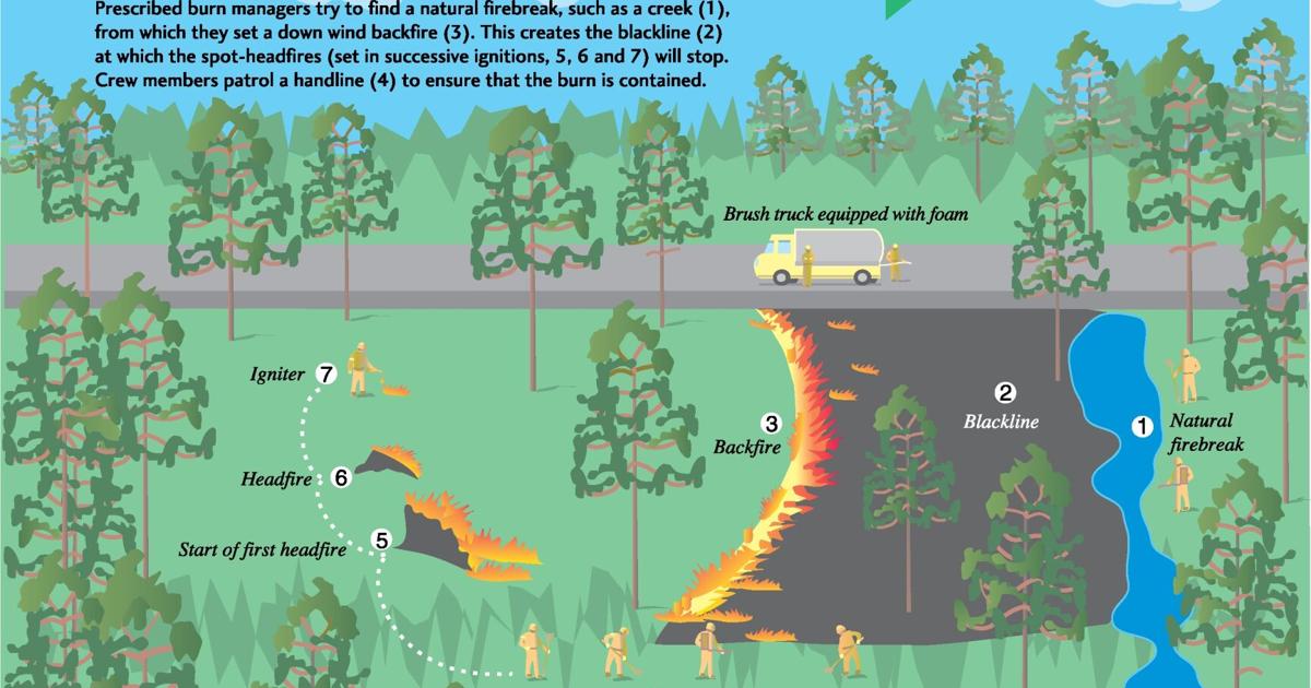 Prescribed burn planned for Savannas Preserve | St. Lucie County
