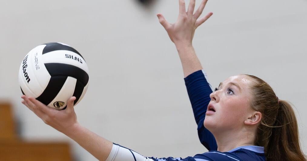 10 questions facing Jacksonville area volleyball in 2026 | Sports