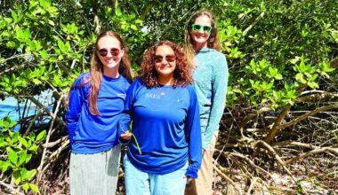 Harbor Branch gets $250,000 for mangrove restoration |