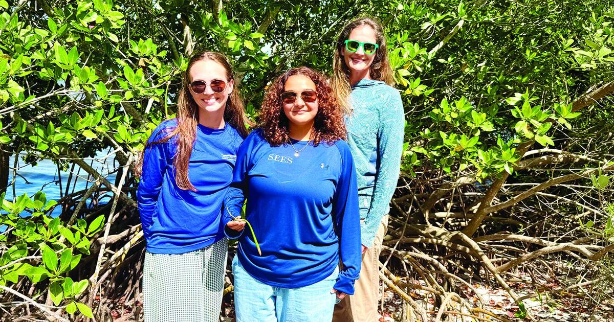Harbor Branch gets $250,000 for mangrove restoration |