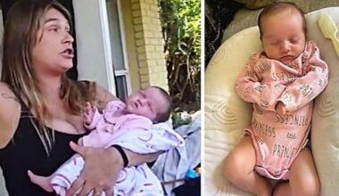 Charlotte County sheriff locates missing infant reported endangered | Charlotte County