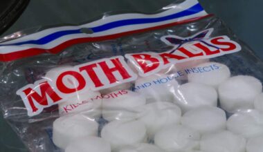 Business Owners Allegedly Spread 'Toxic' Mothballs Across Florida Beach